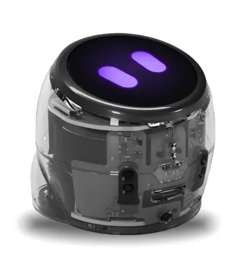 Ozobot Ari Entry Kit